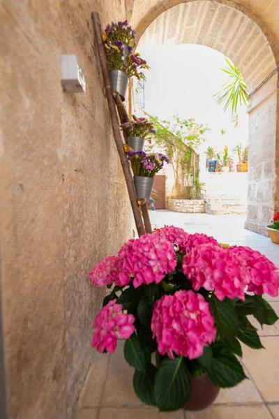 Il Saraceno Apartment Giovinazzo Extérieur photo